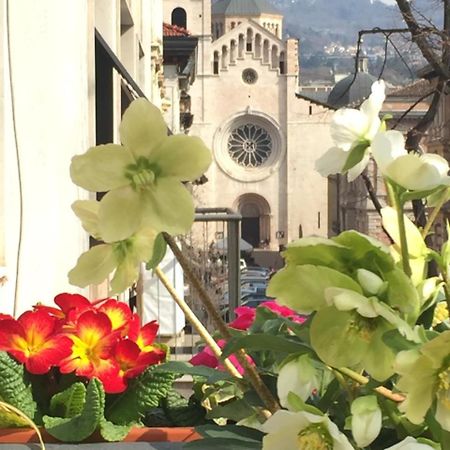B&B Homer Trento Exteriér fotografie