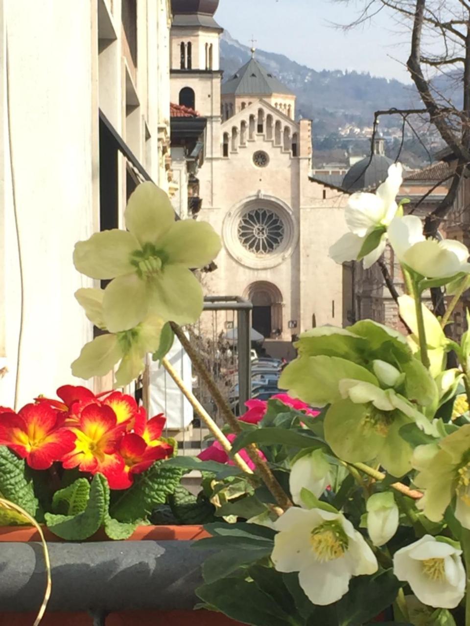 B&B Homer Trento Exteriér fotografie